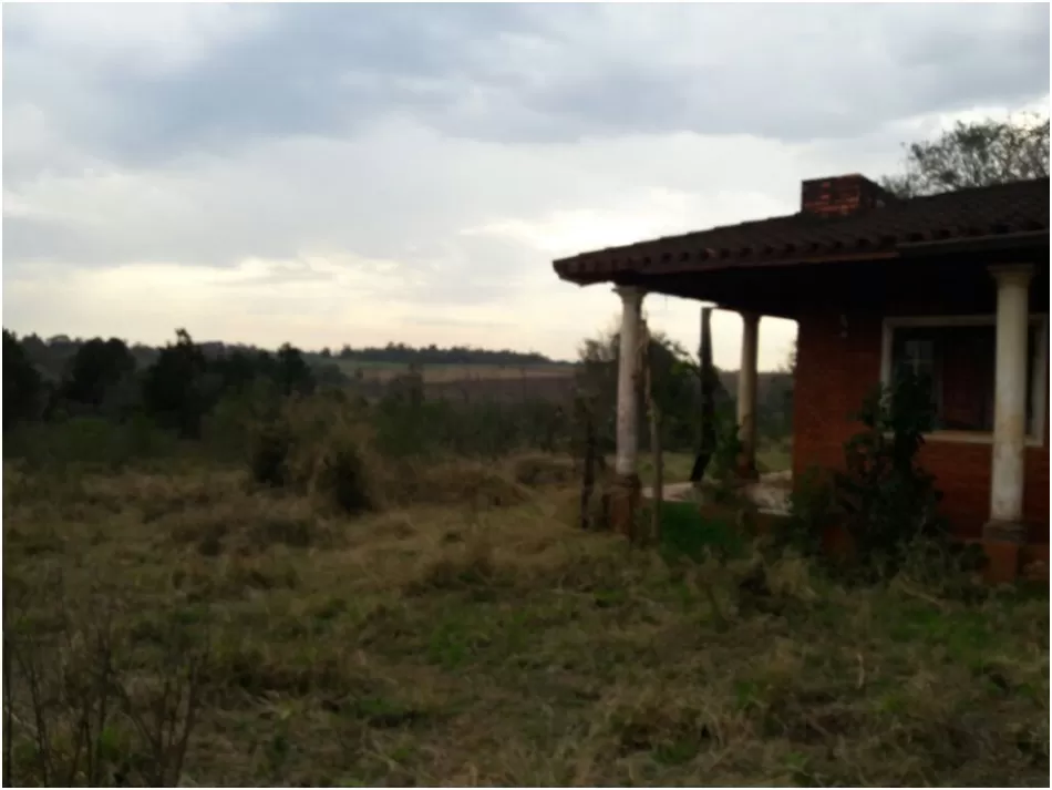 MONDAY (MINGA GUAZÚ – ALTO PARANÁ): 21 MARAVILLOSAS HECTÁREAS, AGRO FORESTALES, SOJERAS. — foto 3