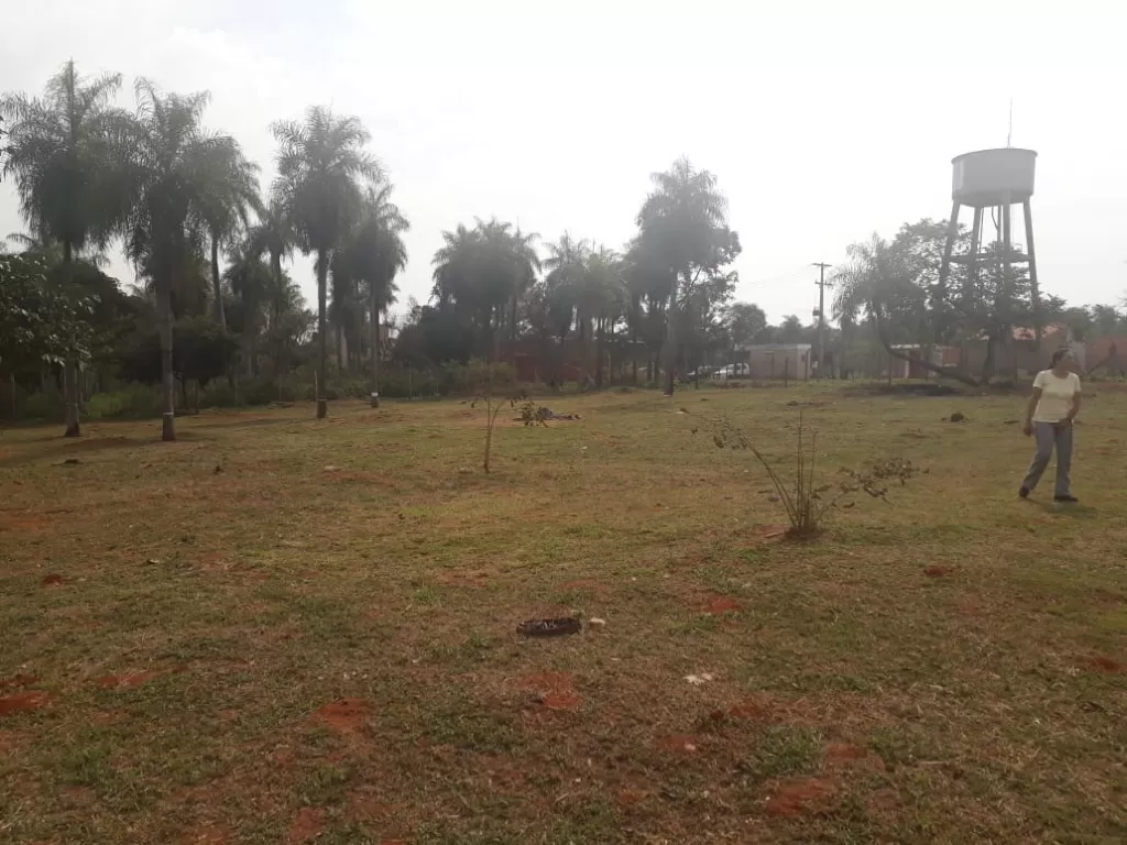 OFERTA DE ENERO..!!! VENDO 3 TERRENOS JUNTOS EN MORA CUE LUQUE — foto 3