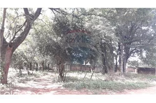 MR ALONSO: ESTRATÉGICA UBICACIÓN, 2.971 M2, IDEALES P EMPRENDIMIENTOS INMOBILIARIOS. — foto 2