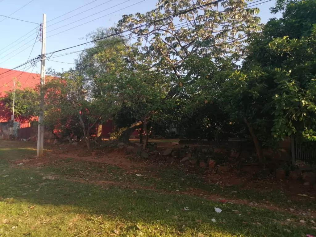 MR ALONSO (PROX. LUISITO): 2 TERRENOS JUNTOS, 840M2 EN OFERTA IDEAL P VIVIENDAS. — foto 3