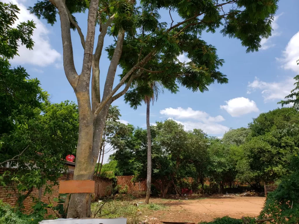 VENDO TERRENO EN SAN LORENZO 385 M2 — foto 3