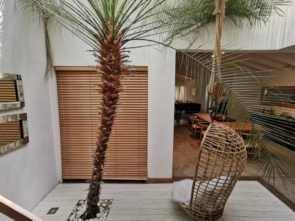 SEMINARIO MBURICAO: DISTINGUIDA CASA LOFT, 3 SUITES, JARDÍN, PISCINA, UNA BELLEZA!! — foto 2