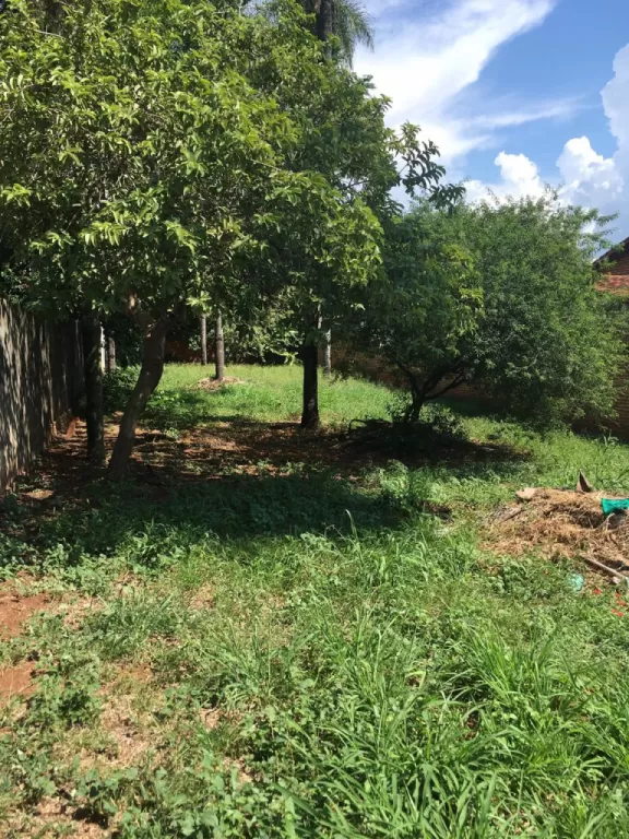 VENDO HERMOSO TERRENO EN BARRIO SAN MIGUEL. — foto 3
