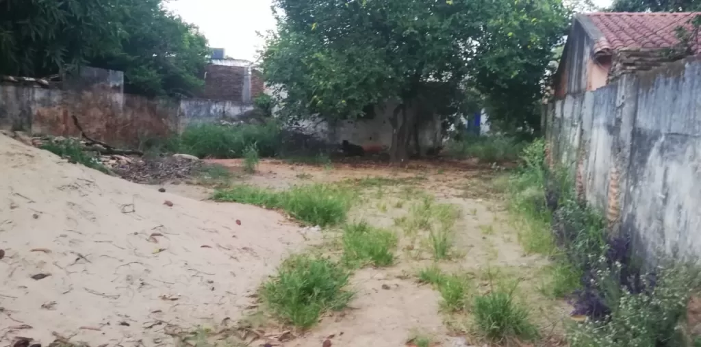 VENDO PROPIEDAD SOBRE 11 DE SETIEMBRE - FNDO. DE LA MORA ZONA SUR — foto 3
