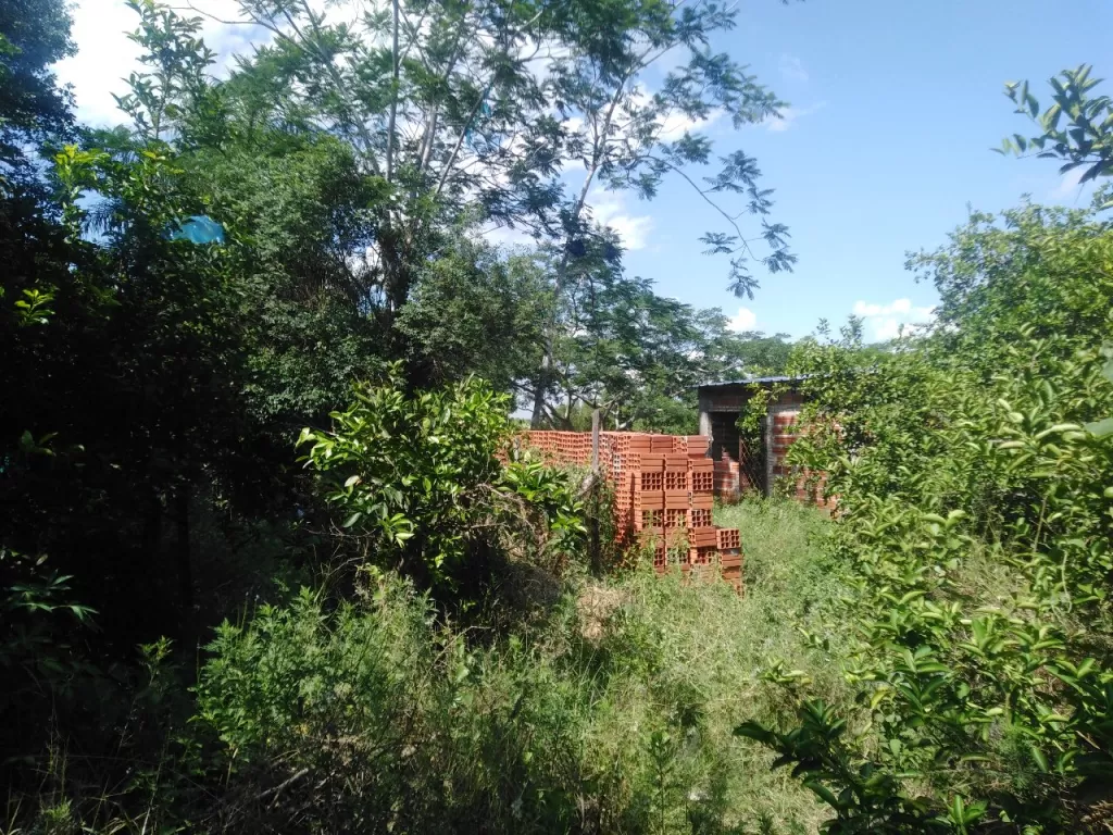 Tres lotes juntos en Luque marambure — foto 3