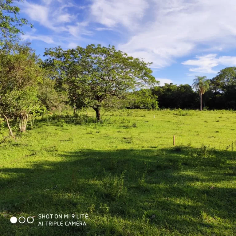 Terrenos Titulados — foto 2