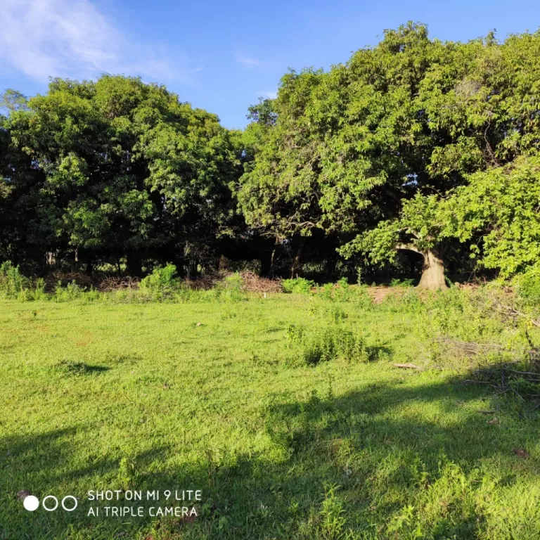 Terrenos Titulados — foto 3