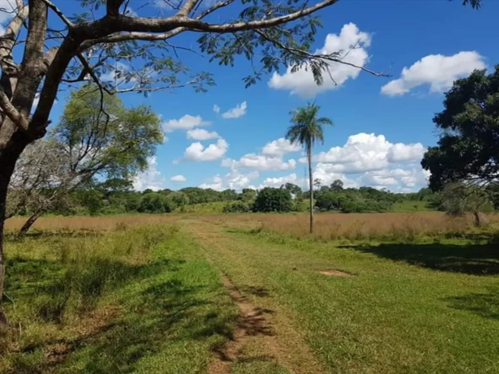 27 has. Itacurubí de la Cordillera — foto 3