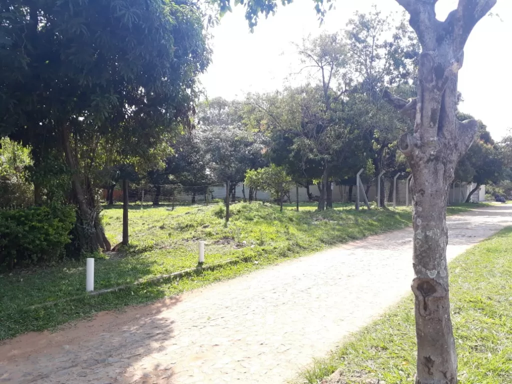 VENDO 2 TERRENOS JUNTOS O SEPARADOS, ZONA CIT (ZONA ALTA), LUQUE. J4032. — foto 2