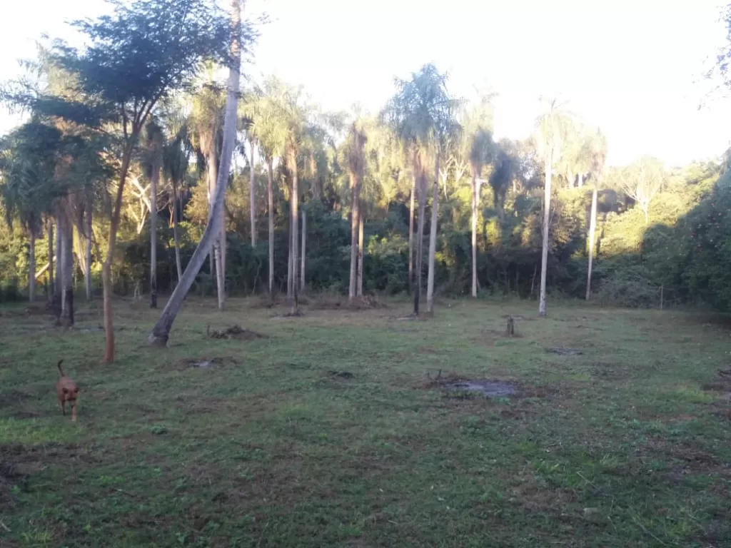 Vendo hermosa propiedad en atyra de 5 has con casa especial para casa quinta — foto 2