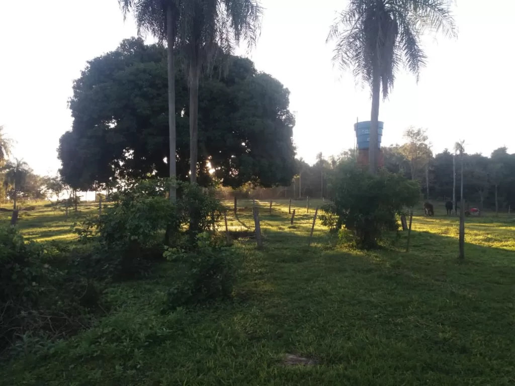Vendo hermosa propiedad en atyra de 5 has con casa especial para casa quinta — foto 3