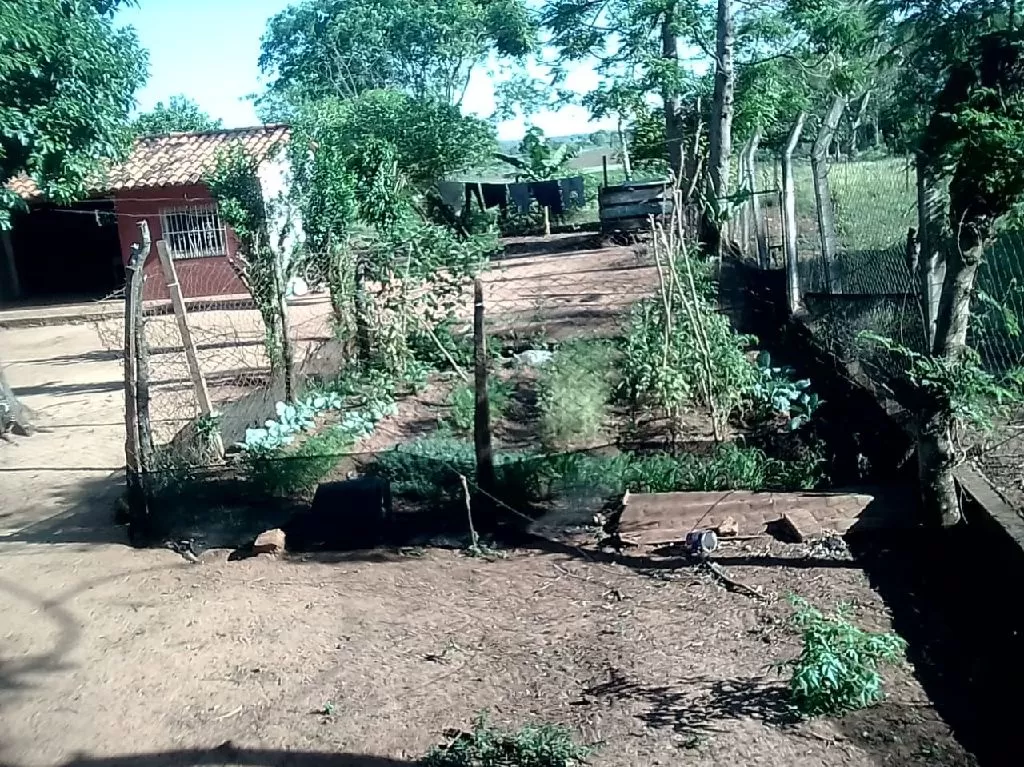 Granja de 2ha en Santaní — foto 3