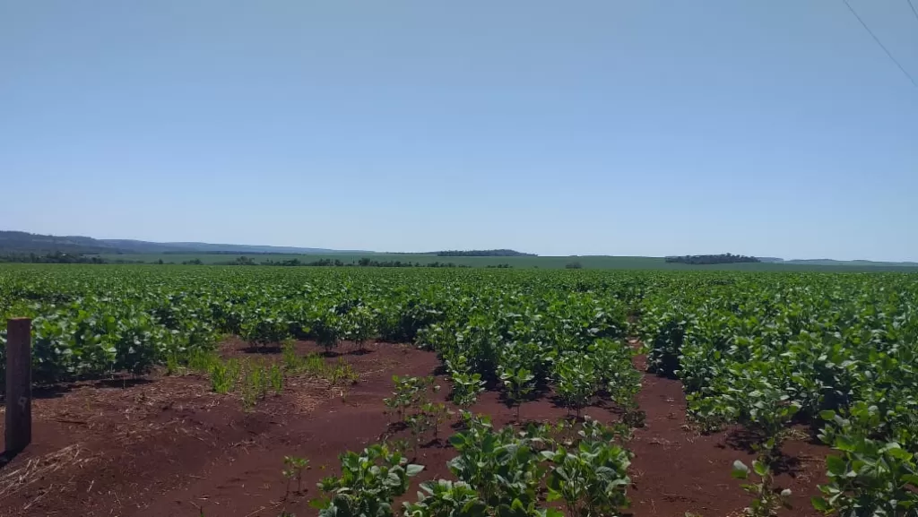 NUEVA ESPERANZA..3.400 HECTAREAS..DUEÑO VENDE... — foto 3