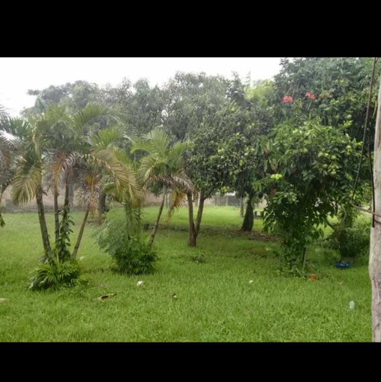 Hermoso terreno con casa — foto 2