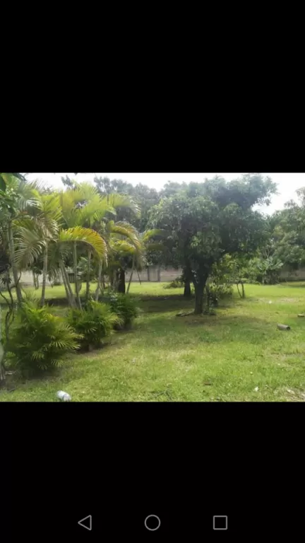 Hermoso terreno con casa — foto 3