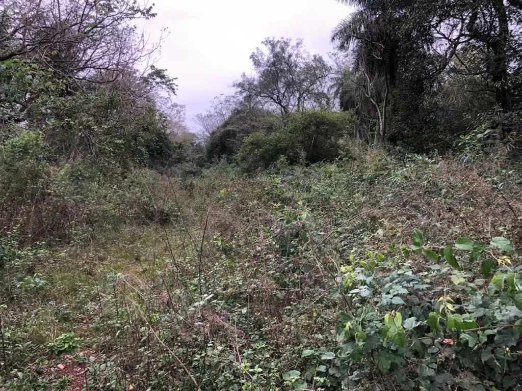 VENDO TERRENO EN LUQUE 12x35 — foto 3