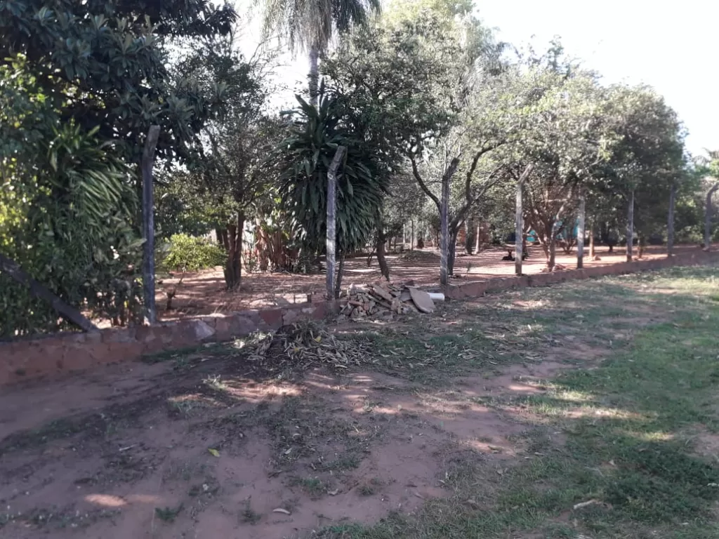 Vendo Casa tipo quinta con tres terrenos en J.A.Saldivar Ruta 1 km 26 — foto 3