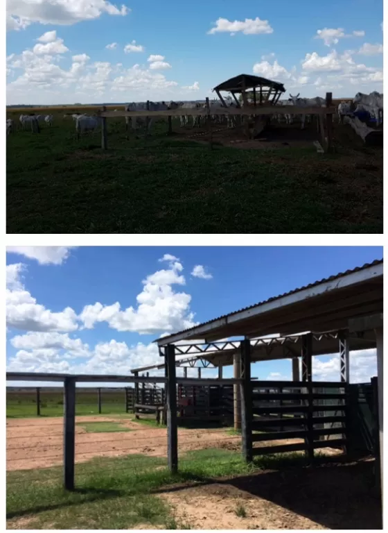 SAN JOSE (PARAGUARÍ – GUAIRA): ESTANCIA MODELO, 1.840 HAS, INFRAESTRUCTURA, PASTURA 100%, — foto 2