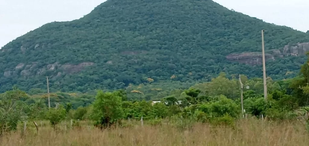 ACAHAY, LA COLMENA: 63 HAS MARAVILLOSAS, BOSQUE, CAMPING ECO-AVENTURA, TURISMO. — foto 3
