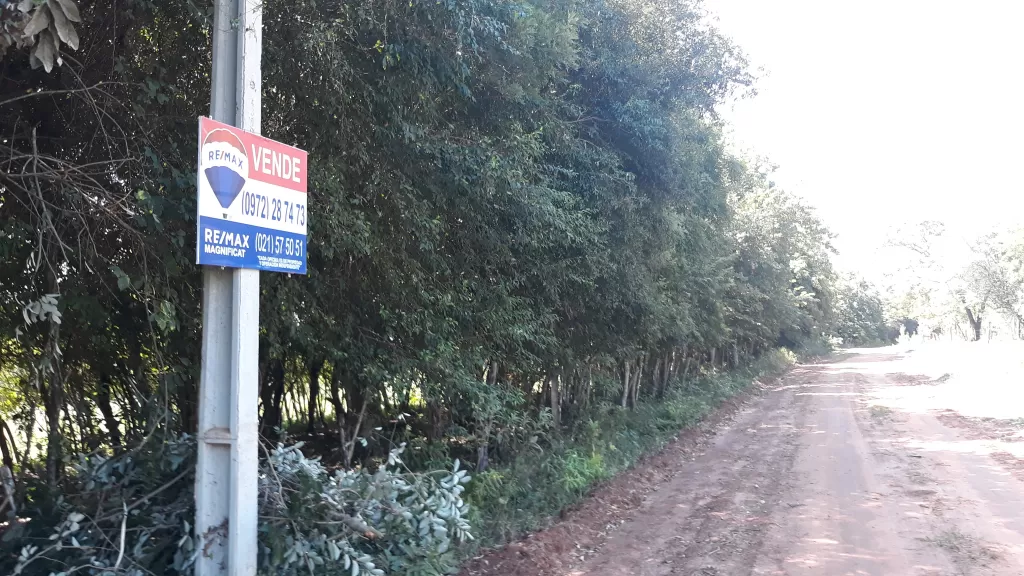 Vendo Terreno de 25 Hectáreas en Caaguazu — foto 2