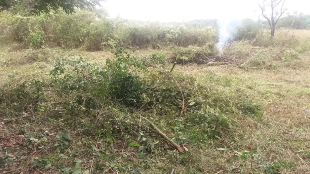 Terreno en sanber detras del club El cortijo — foto 3