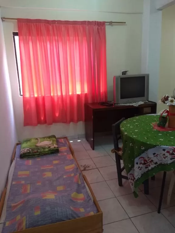 DEPARTAMENTO A METROS DE LA PLAYA SAN JOSE DE ENCARNACIÓN — foto 2