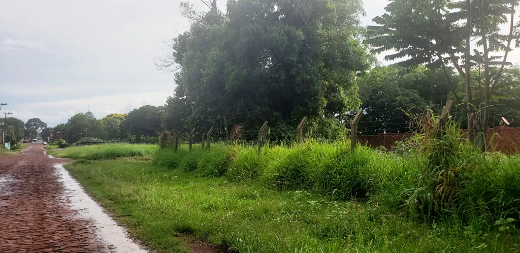 Terreno Esquina en Km 13 Acaray a 2 cuadras de la Ruta Internacional — foto 3
