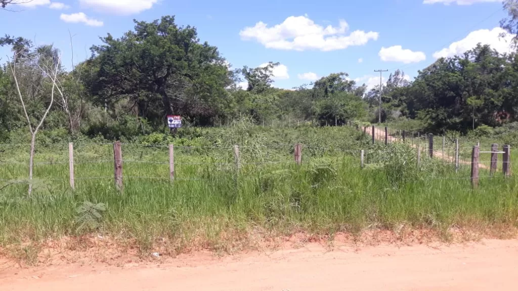 VENDO 1200 M2 DE TERRENO CON ESQUINA EN LIMPIO — foto 2