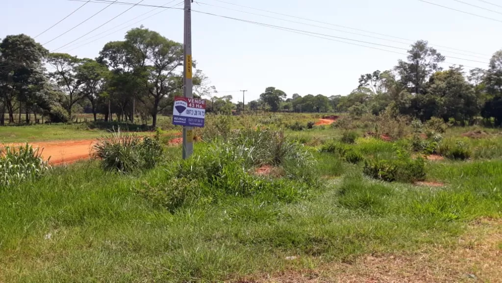 VENDO 43 HECTAREAS EN SAN ESTANISLAO -CURUGUATY — foto 3