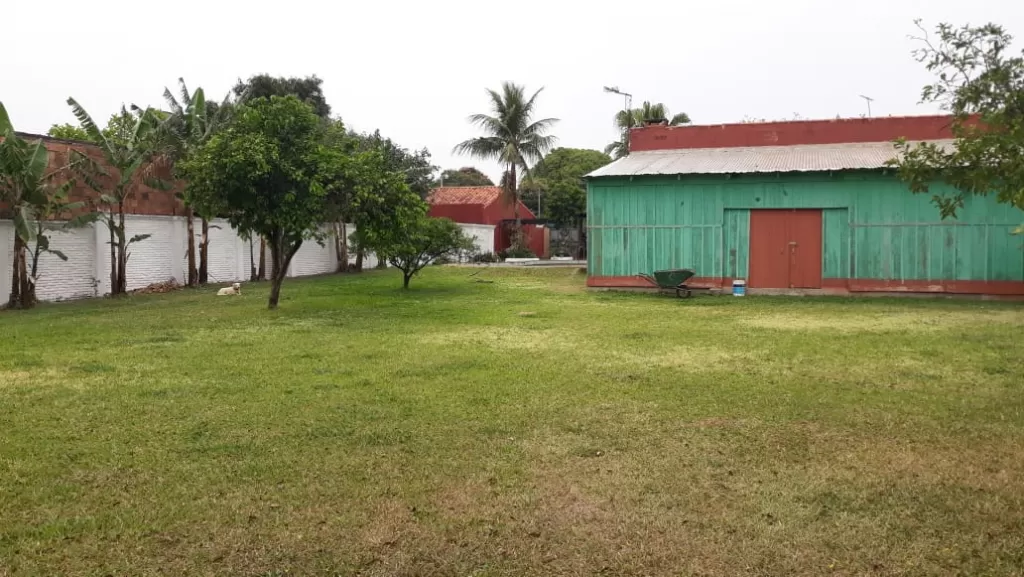 VENDO TRES TERRENOS JUNTOS EN SAN LORENZO — foto 3