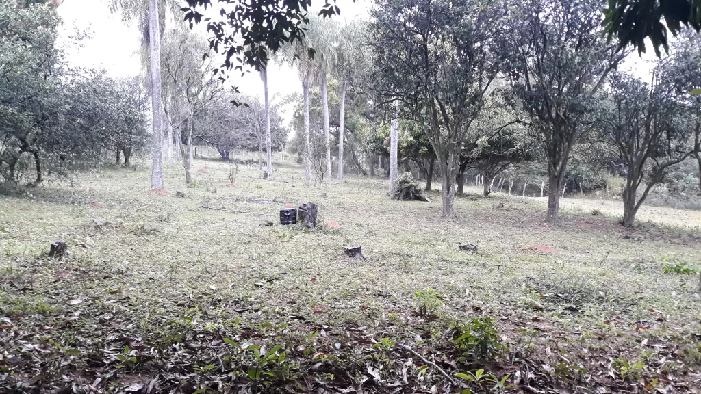 Vendo 6.5 Hectáreas en Emboscada-Cordillera — foto 2