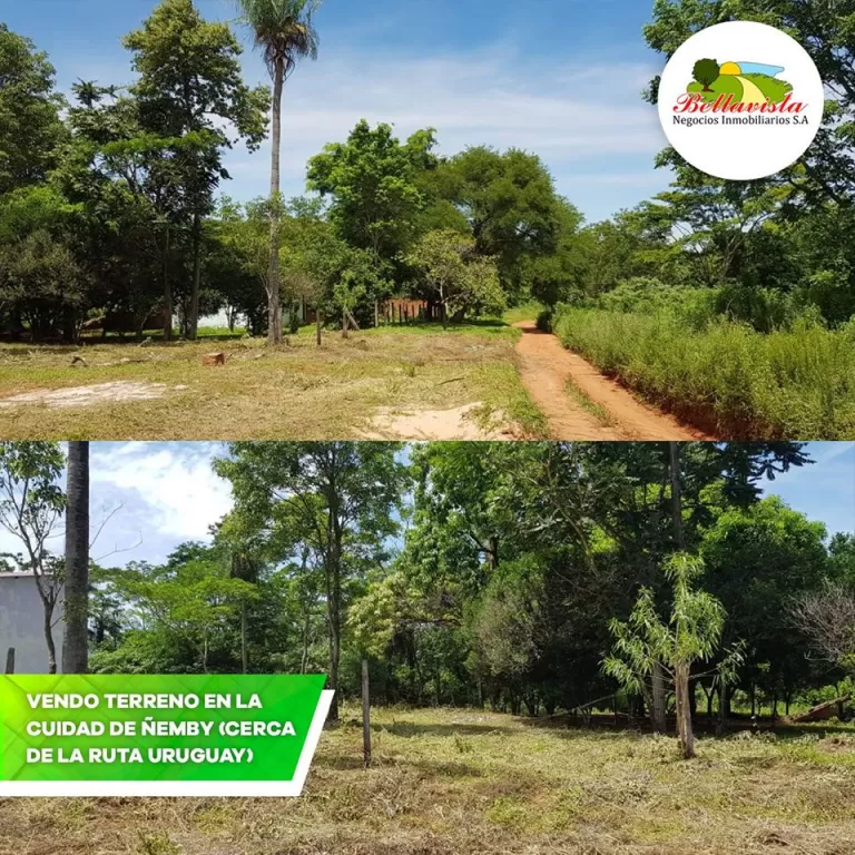 Vendo terreno en la cuidad de Ñemby, cerca de la Ruta Uruguay — foto 2