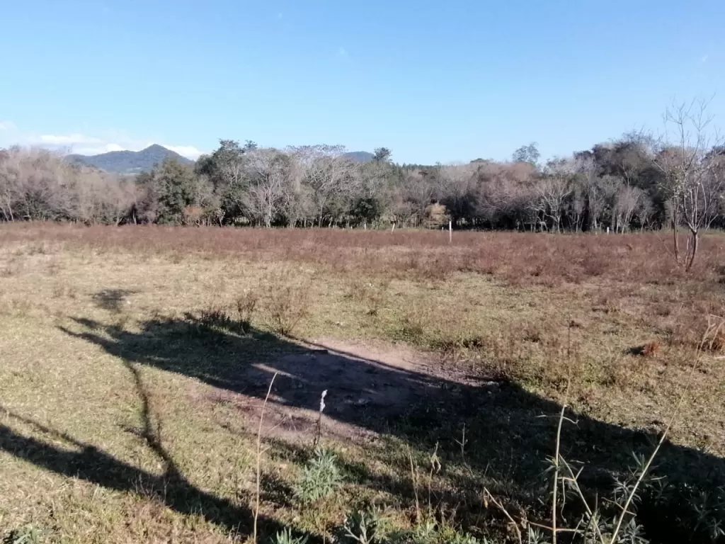 terrenos en colonia independencia — foto 3