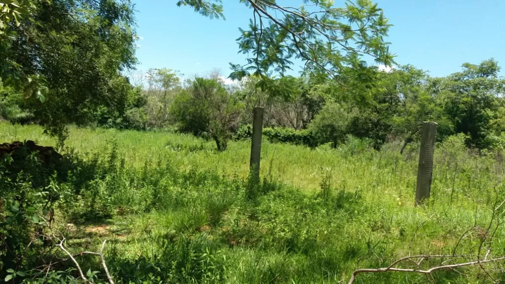 VENDO HERMOSO TERRENO 18X27 EN ITAGUA CANHADITA, A 1 K M Y MEDIO DE RUTA 2 — foto 2