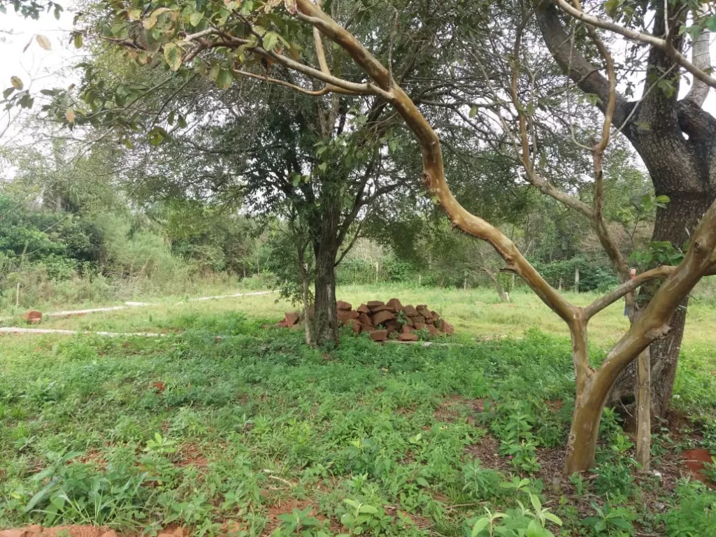 VENDO HERMOSO TERRENO 18X27 EN ITAGUA CANHADITA, A 1 K M Y MEDIO DE RUTA 2 — foto 3