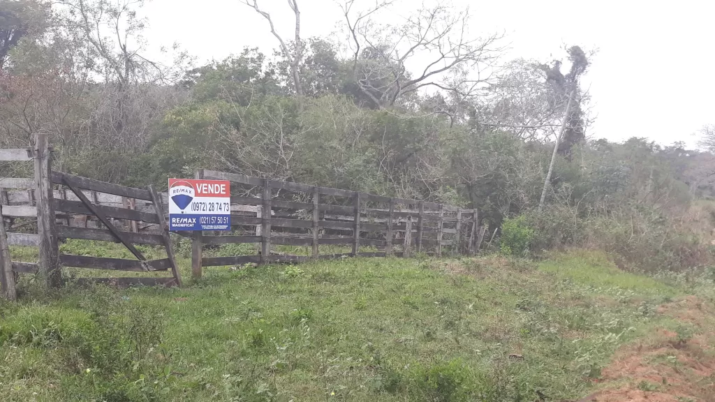 Vendo 25 Hectáreas en RI3Corrales O 50 HECTAREAS — foto 2