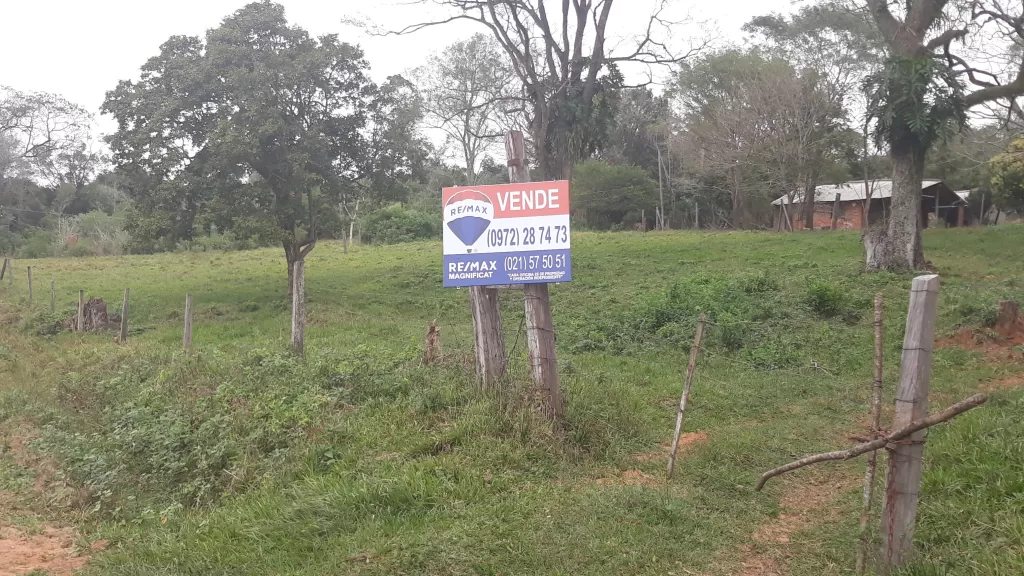 Vendo 25 Hectáreas en RI3Corrales O 50 HECTAREAS — foto 3
