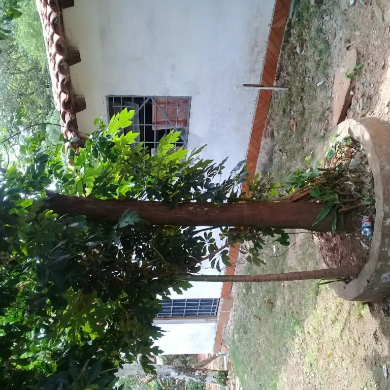 Vendo casa — foto 3