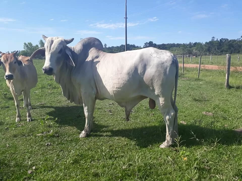 SAN JOSE DE LOS ARROYOS (NEGOCIABLE) — foto 3