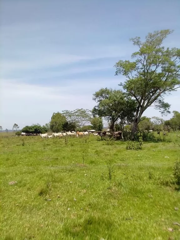 SAN JOSE DE LOS ARROYOS — foto 3