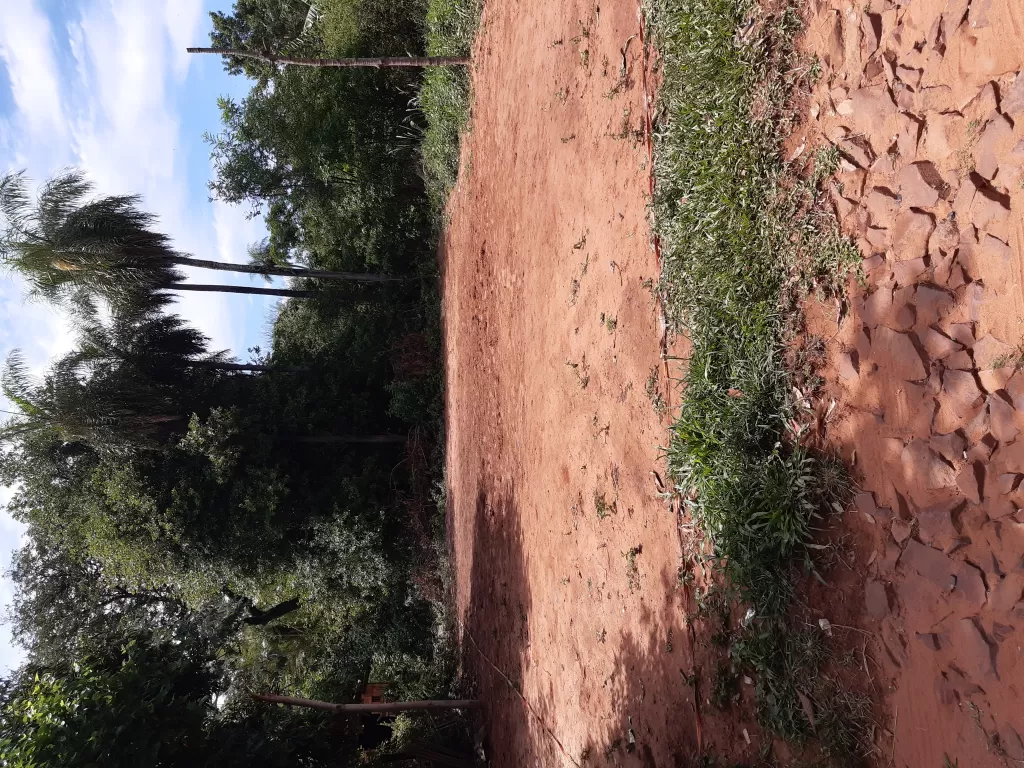 VENDO EN SAN ANTONIO, LOTE DE 30 X 19 M AL COSTADO DE FCA DE PULP, A 300 M DE ACCESO SUR. — foto 2