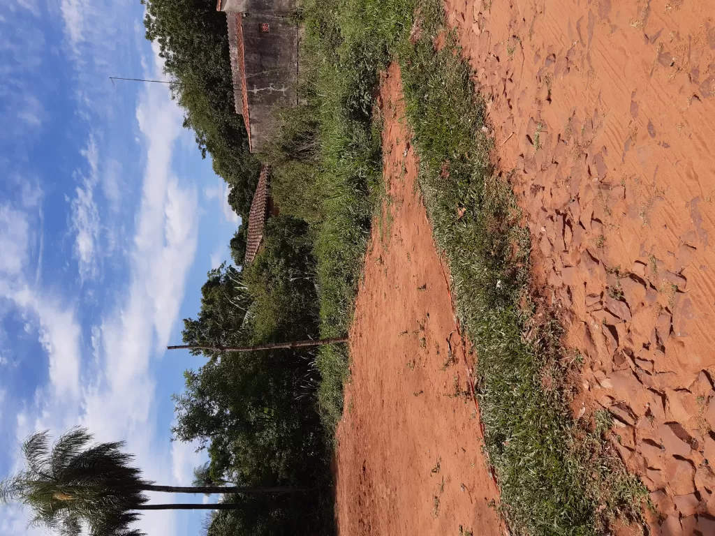 VENDO EN SAN ANTONIO, LOTE DE 30 X 19 M AL COSTADO DE FCA DE PULP, A 300 M DE ACCESO SUR. — foto 3