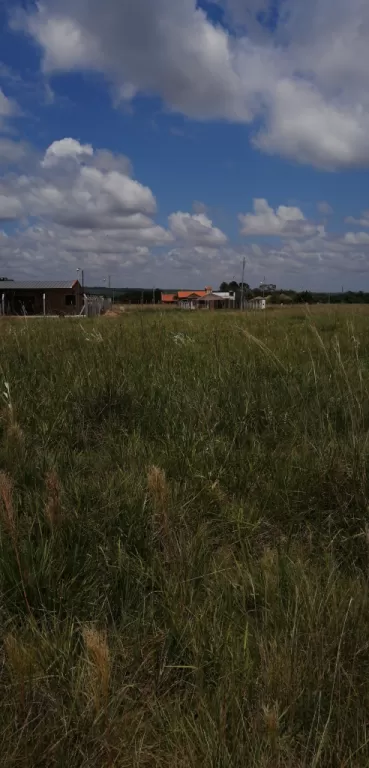 Vendo terreno San Bernardino Zona Cortijo — foto 2