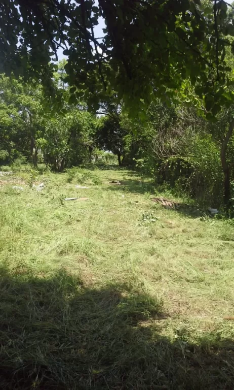 Terreno en mariano roque alonso — foto 3