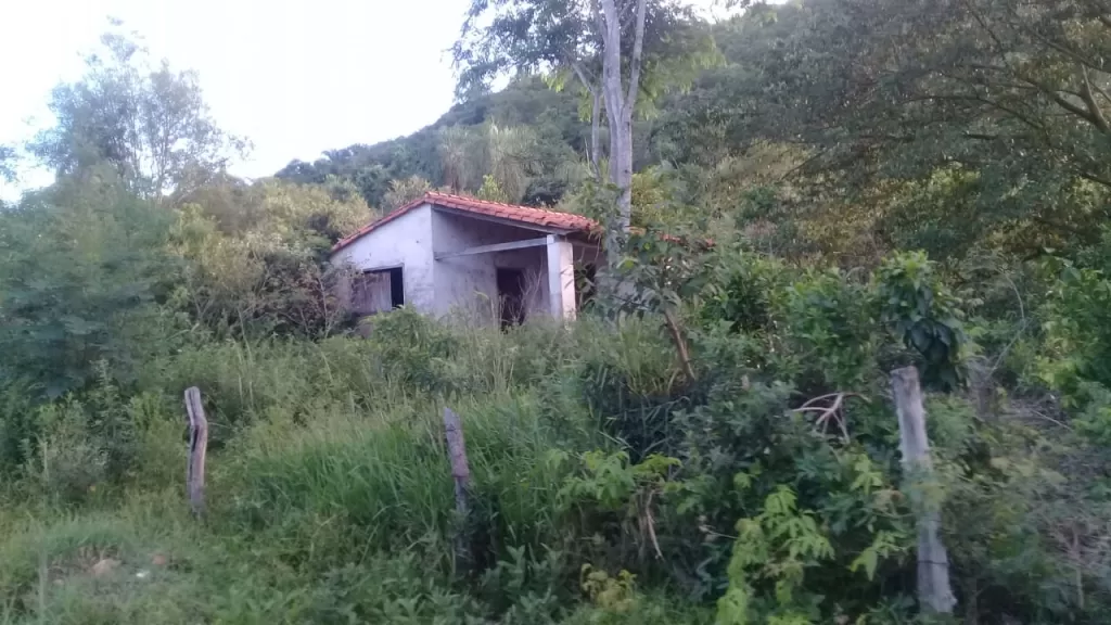 Vendo Propiedad de 7 hectáreas entre San Bernardino y Luque — foto 3