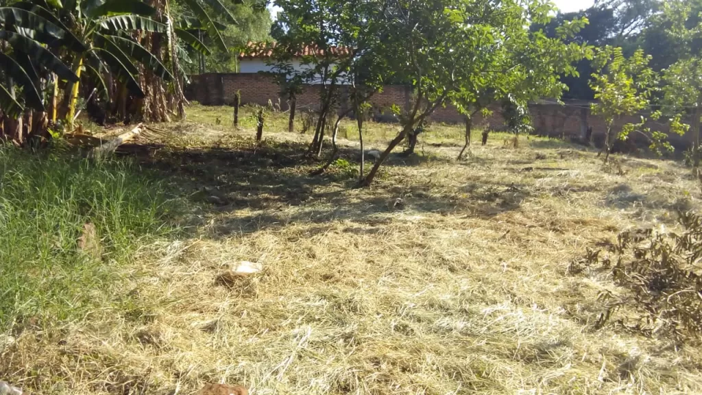 VENDO TERRENO 12X30 ZONA DE ITA LAS PIEDRAS — foto 2
