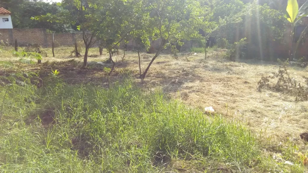 VENDO TERRENO 12X30 ZONA DE ITA LAS PIEDRAS — foto 3