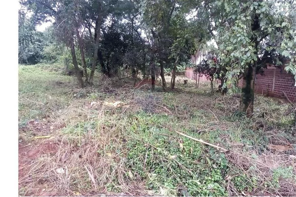 Terreno en venta en Encarnación — foto 2