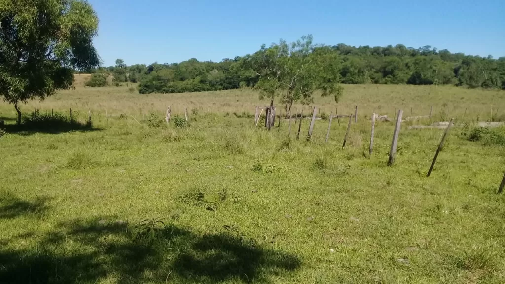 21,2 has con arroyo a 3 km de la Ruta Paraguarí - Villarrica — foto 2