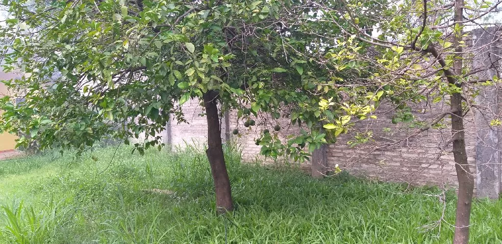 Vendo una casa — foto 2